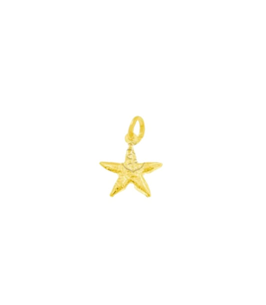 Charm stella marina in argento 925